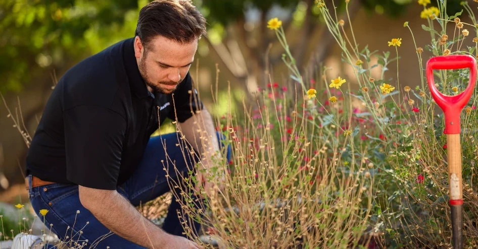 Profissional agachado cuidando de um canteiro florido com plantas e flores amarelas